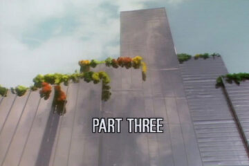 Paradise Towers